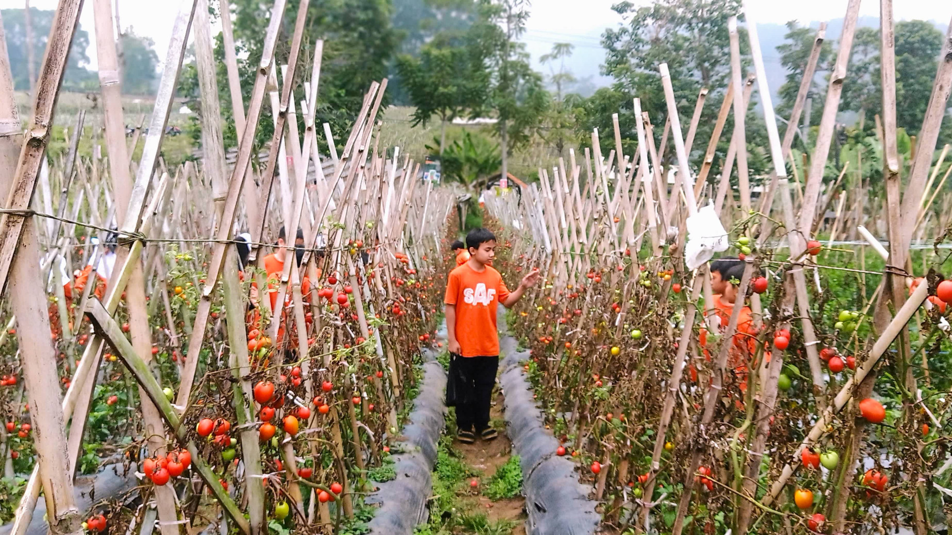 Kegiatan Salman Al Farisi Bandung